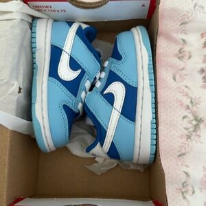 Nike dunk low retro QS 4C